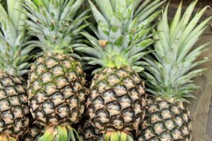 pineapple, fruit, food-2901430.jpg